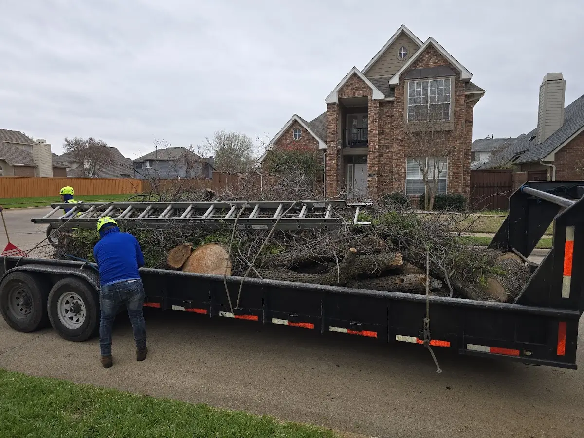 Expert Lot Clearing with proper safety equipment in Pequot Lakes